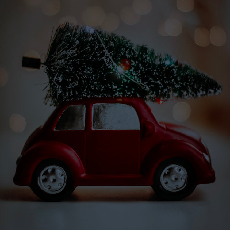 Shop Holidays Collection – Festive Decor & Gifts