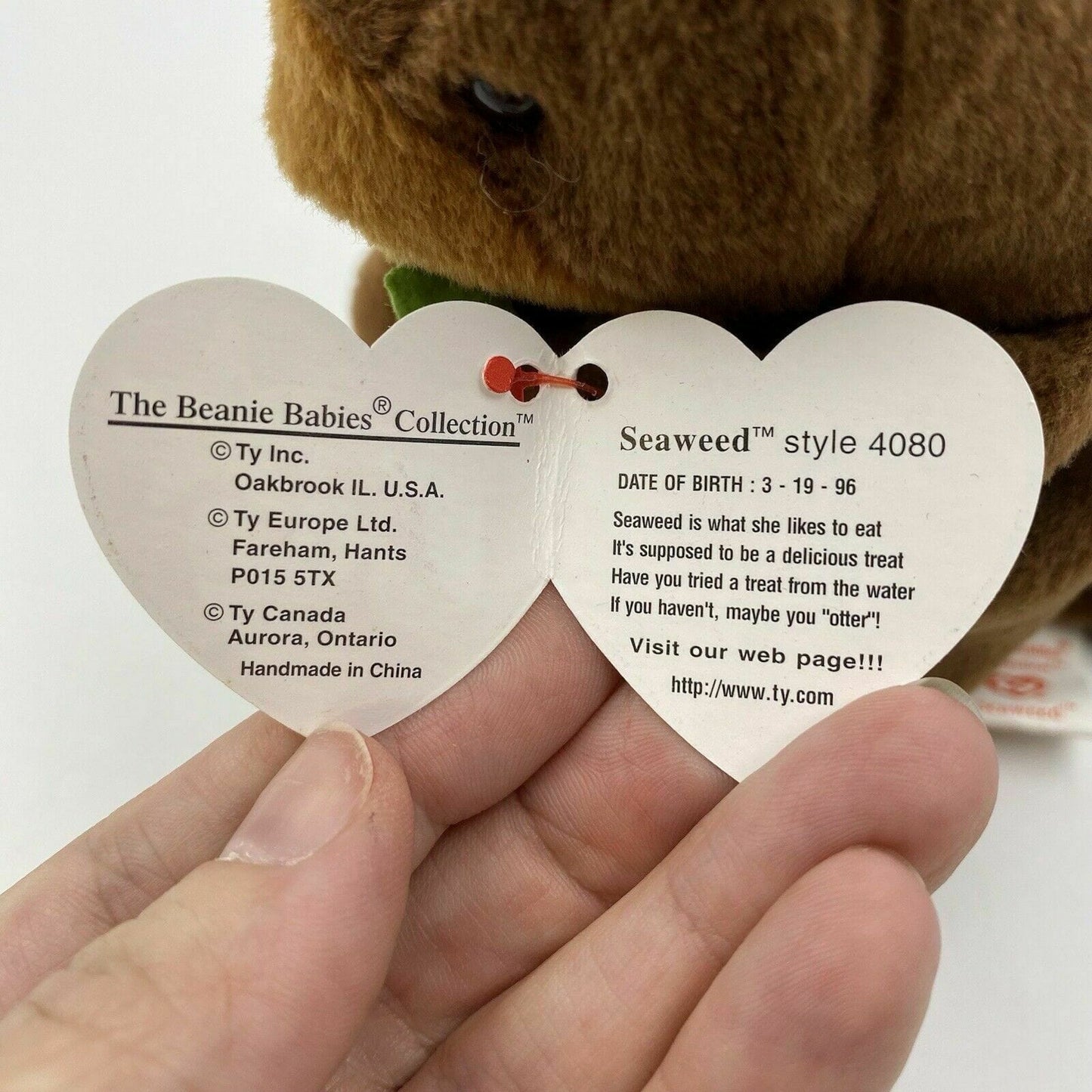 Ty Original Beanie Babies “Seaweed” The Otter 1995 MINT Condition - Tag Errors