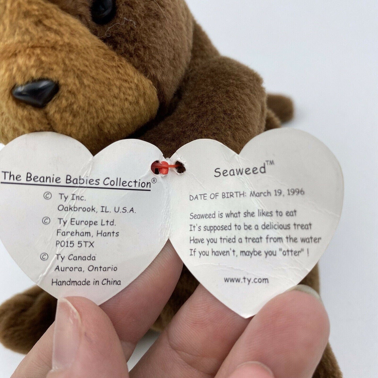 Ty Original Beanie Babies “Seaweed” The Otter 1995 EXCELLENT Condition Tag Error