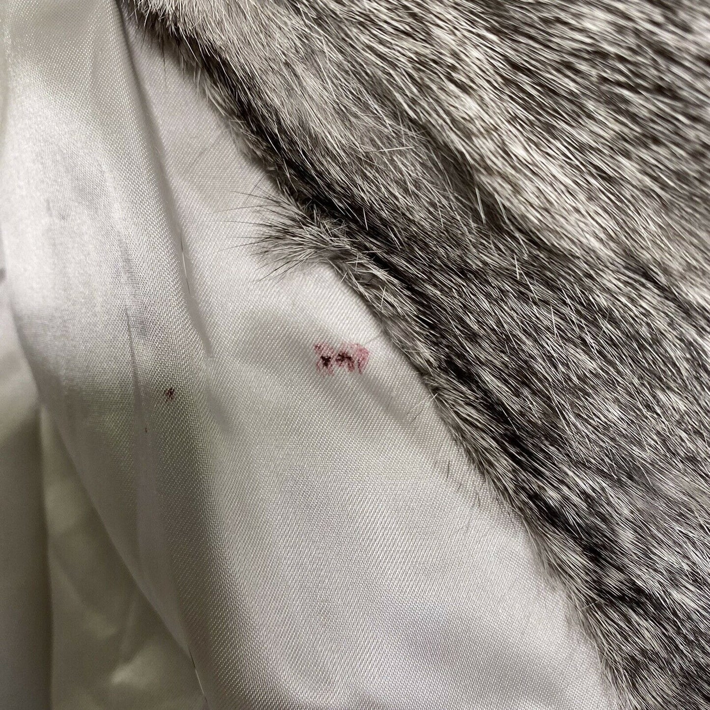 Timeless Luxury Elam Women's Real Dyed Rabbit Fur Coat Size Medium