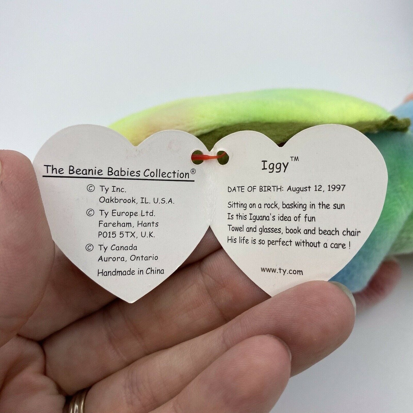 Ty Beanie Babies Rainbow & Iggy 1997 Plush Toy Mint Condition Tag Errors