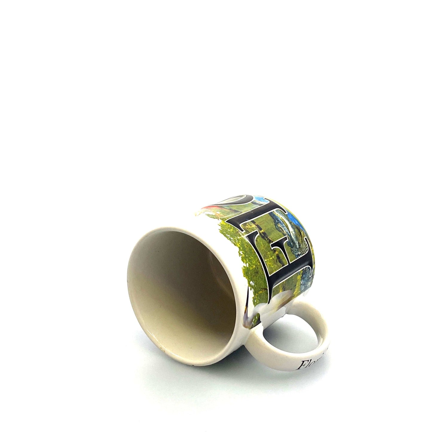 State of Florida Souvenir Ceramic Coffee Mug Cup 14 fl oz, Dolphin Alligator