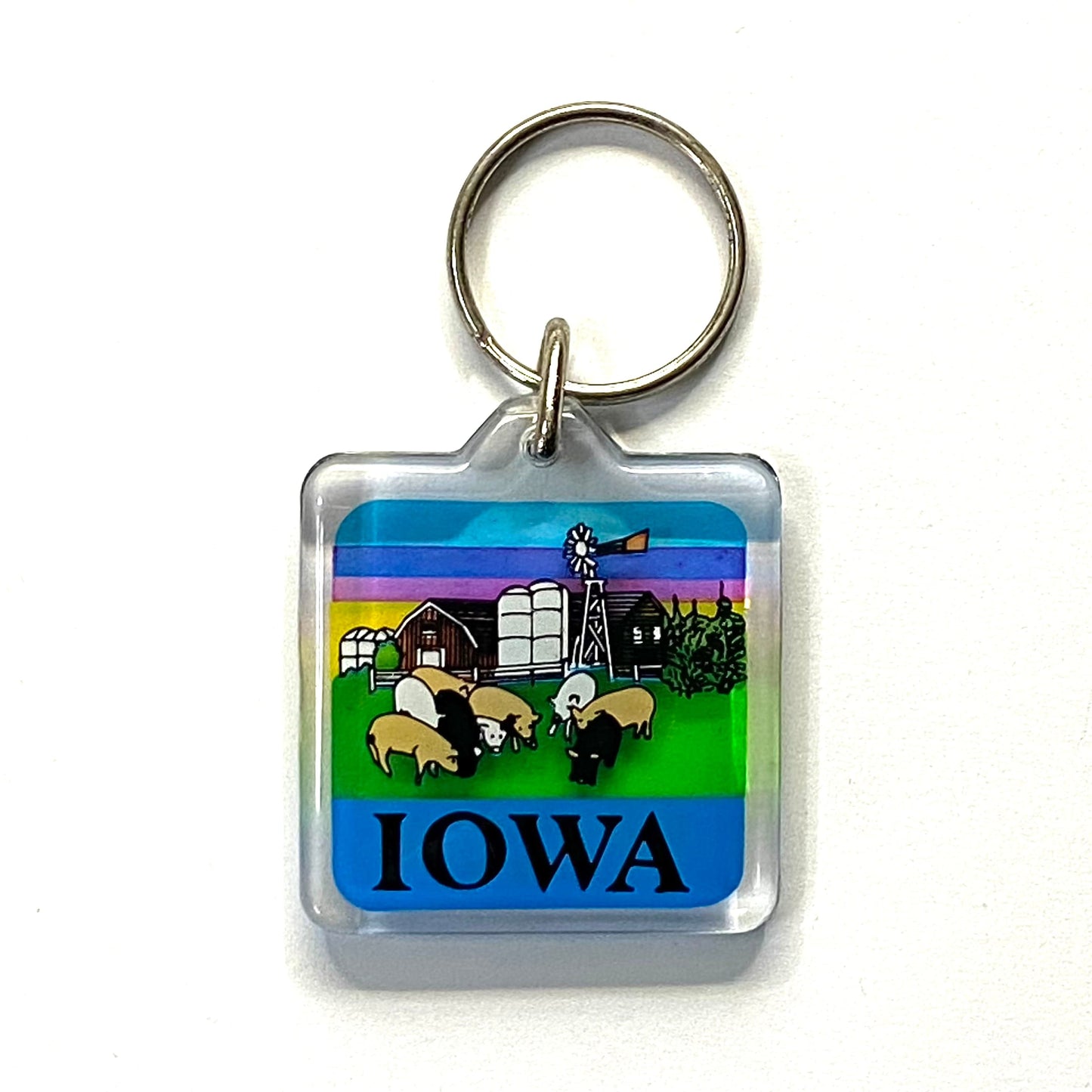 Vintage Iowa Travel Souvenir Keychain Key Ring Square Clear Acrylic
