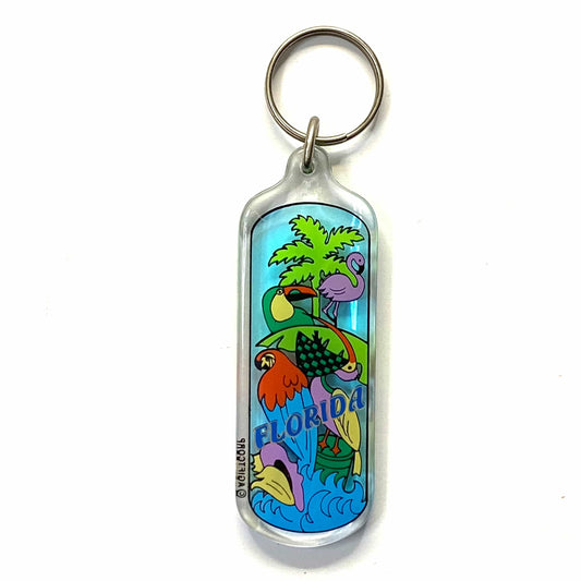 Vintage Florida Travel Souvenir Keychain Key Ring Rectangle Clear Acrylic