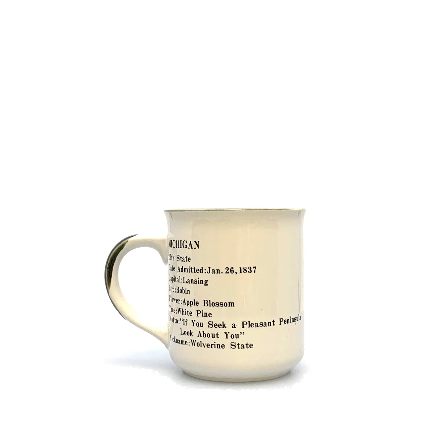 Michigan Souvenir Tourism Coffee Cup 12 Oz. White Multicolor Places