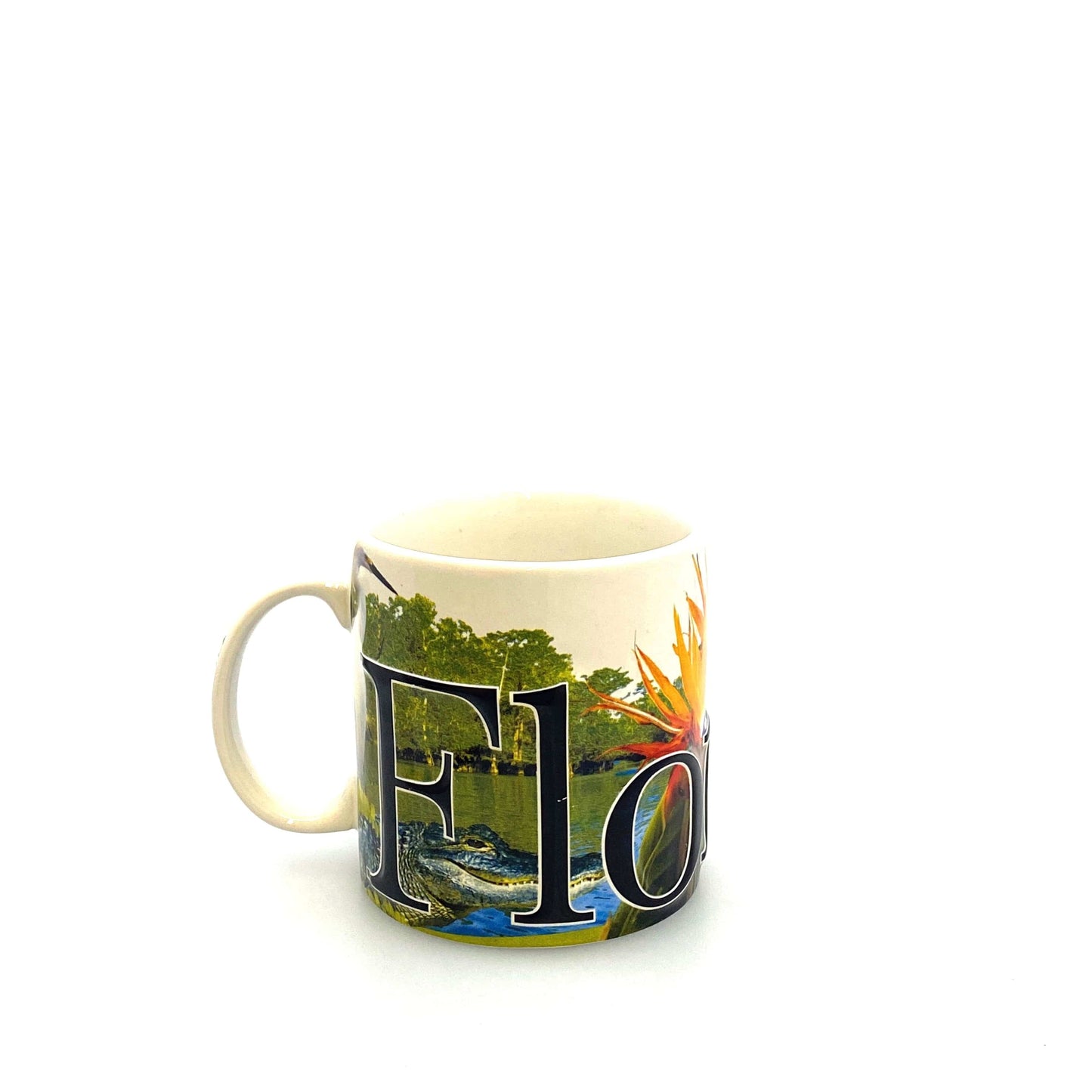 State of Florida Souvenir Ceramic Coffee Mug Cup 14 fl oz, Dolphin Alligator