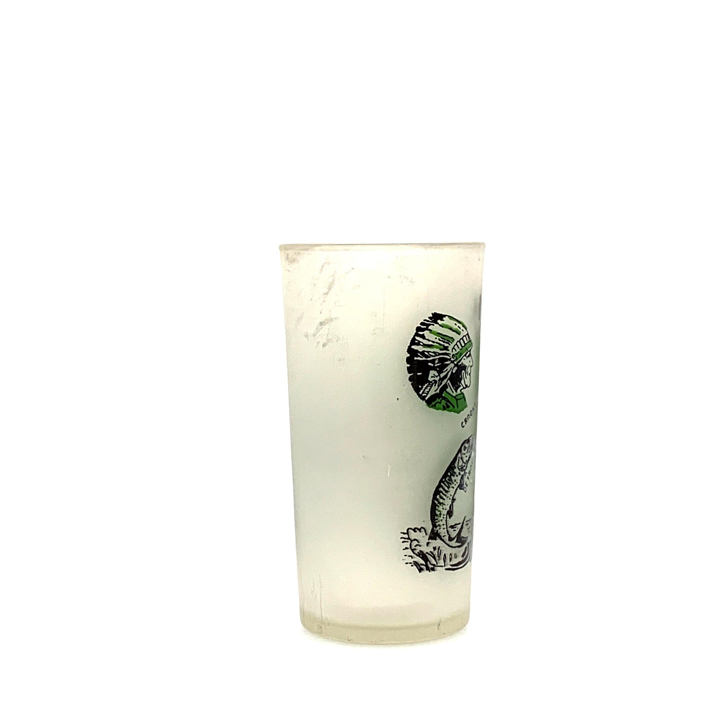 Minnesota Souvenir Drinking Glass Land Of 10,000 Lakes Frosted Glass