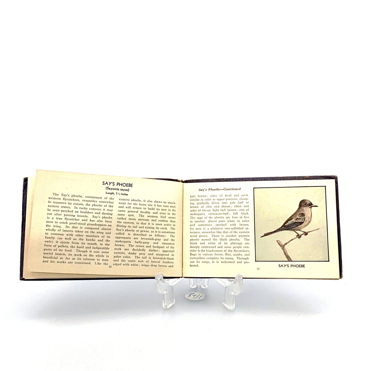The Blue Book of Birds of America 1931 Frank Ashbrook