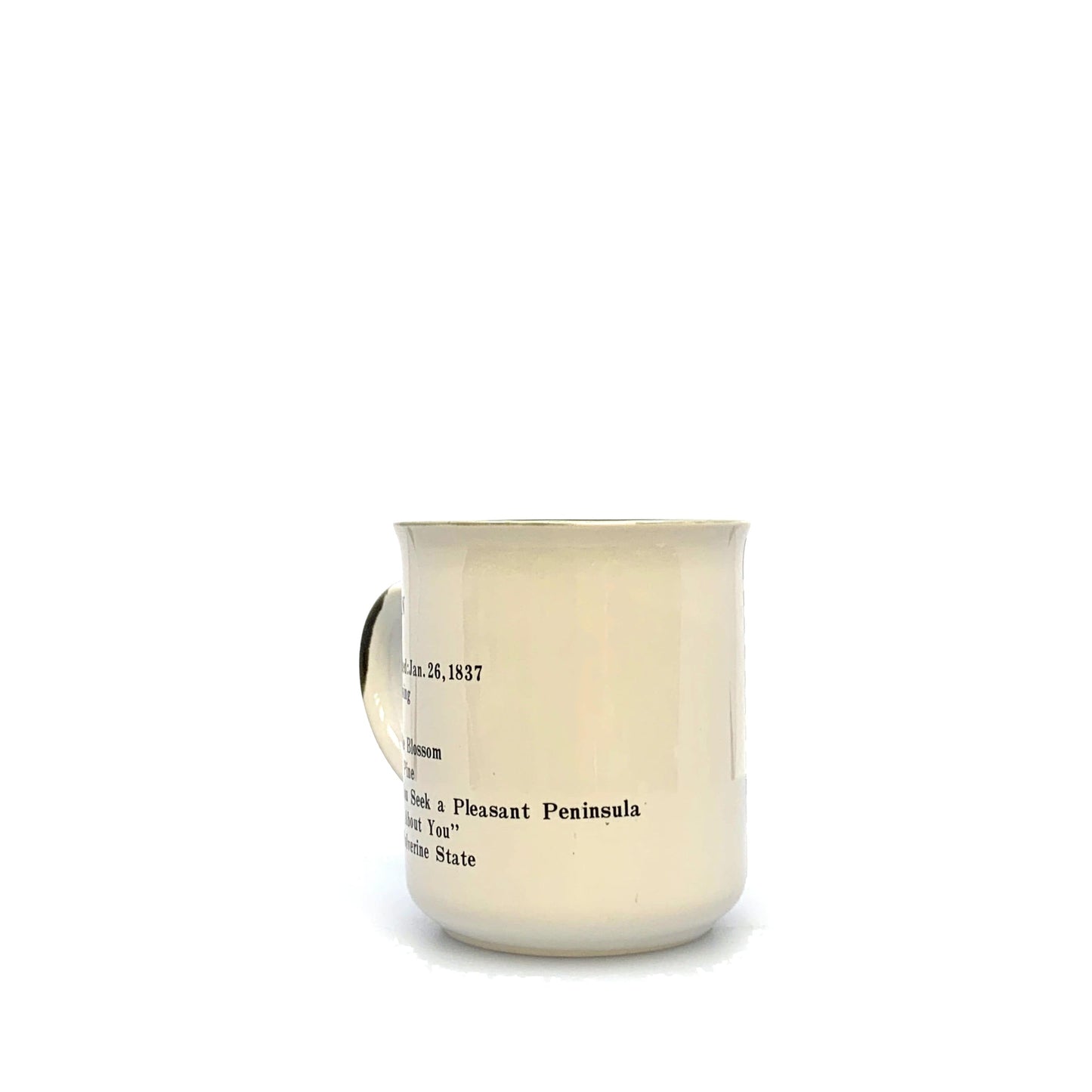 Michigan Souvenir Tourism Coffee Cup 12 Oz. White Multicolor Places