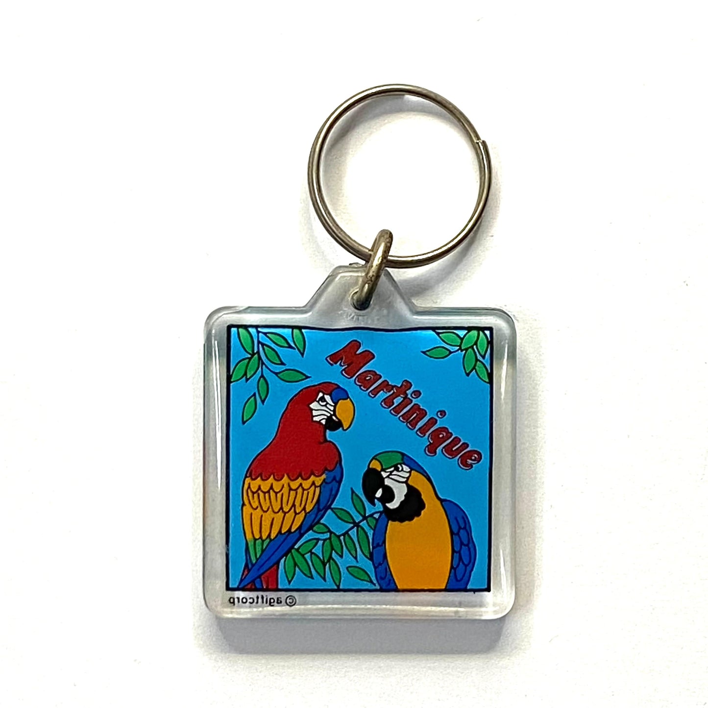 Vintage Martinique Travel Souvenir Keychain Key Ring Square Clear Acrylic