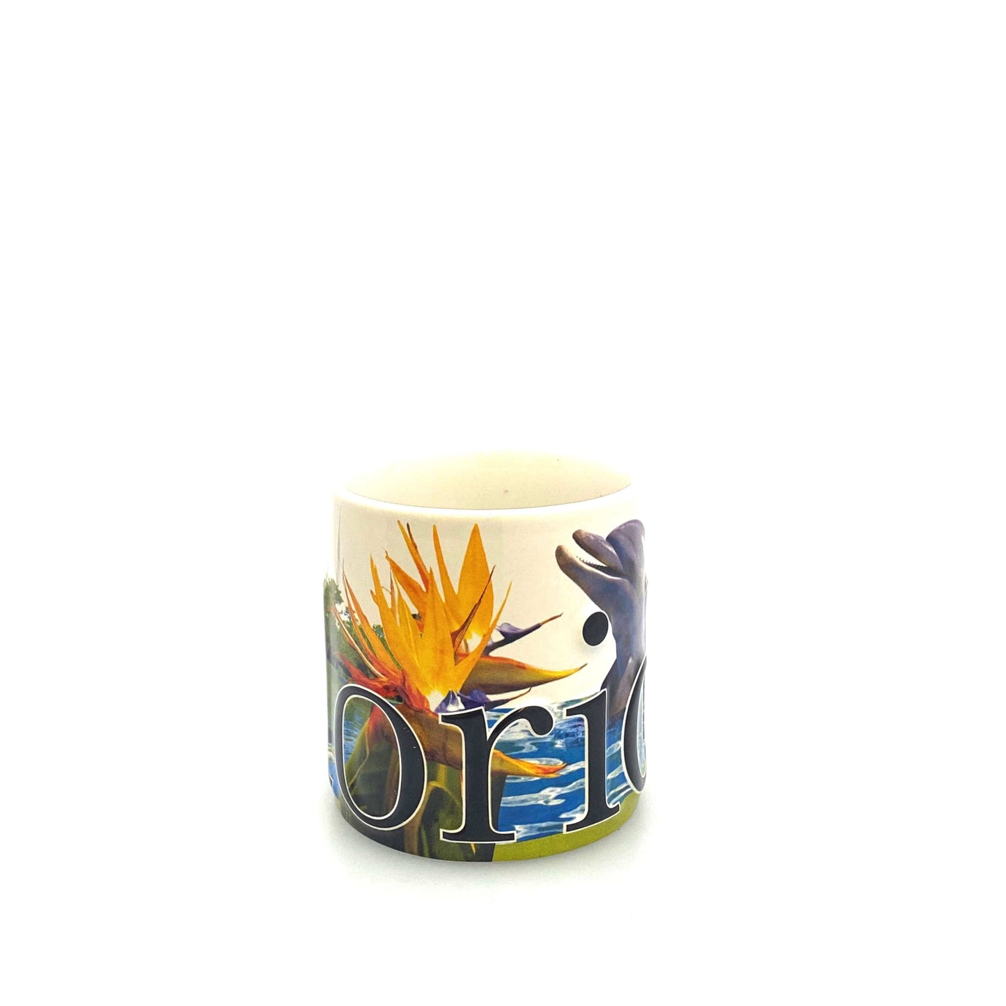 State of Florida Souvenir Ceramic Coffee Mug Cup 14 fl oz, Dolphin Alligator