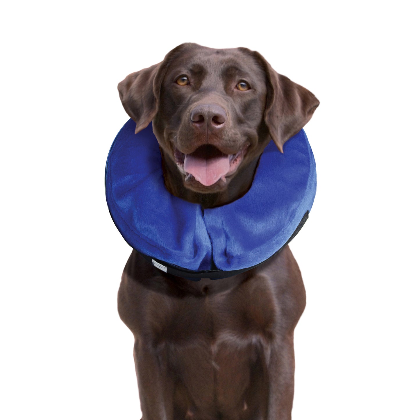 KONG Cloud E-Collar | Inflatable Recovery Collar | Large | Blue | Soft & Comfortable | Machine Washable