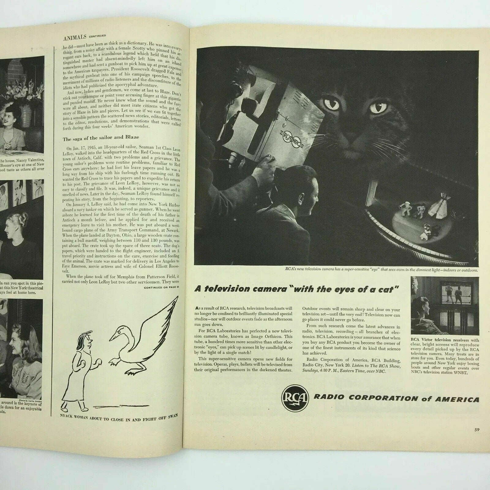 Charming Cardinal-Designate Spellman Vintage Life Magazine - Very Good - January 1946 -  | Buy at Parsimony Shoppes