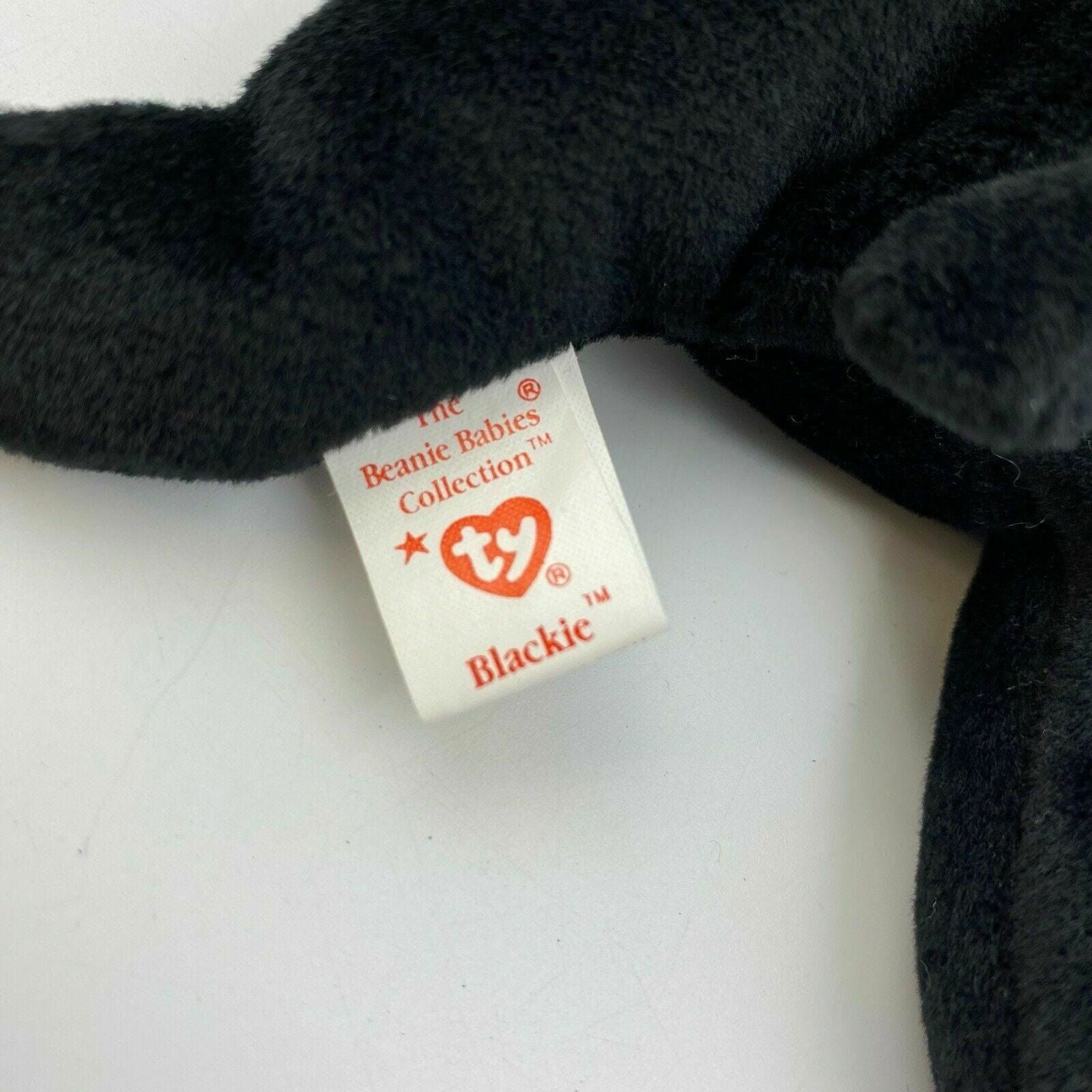 Charming Ty Original Beanie Babies Blackie The Bear Plush Toy - Excellent Cond. - Vintage -  | Buy at Parsimony Shoppes