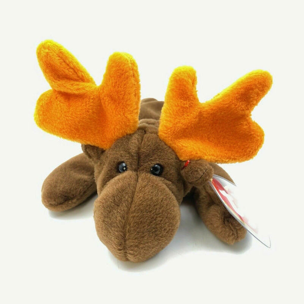 Chocolate moose teddy sales