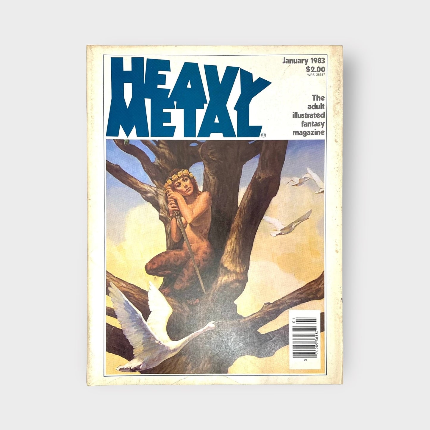 HEAVY METAL Adult Illustrated Fantasy Erotic Magazine | Vintage | GUC | January 1983