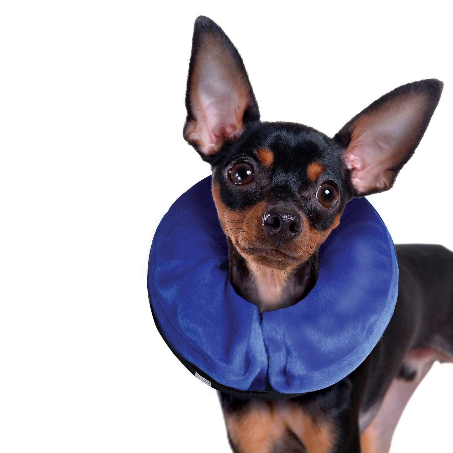 KONG Cloud E-Collar | Inflatable Recovery Collar | Small | Blue | Soft & Comfortable | Machine Washable