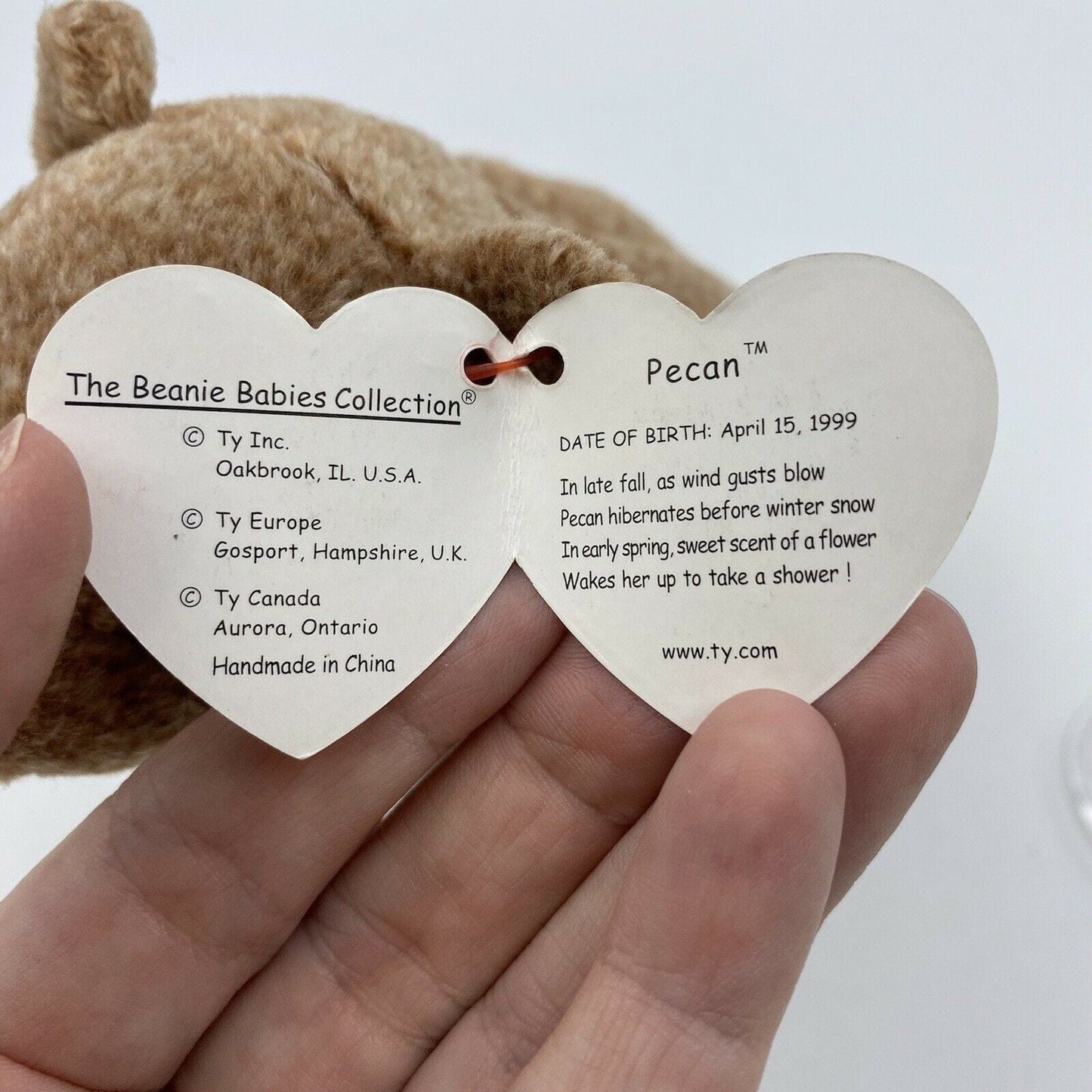 Ty Original Beanie Babies - “Pecan” The Bear - 1999 MINT Condition - Tag Errors