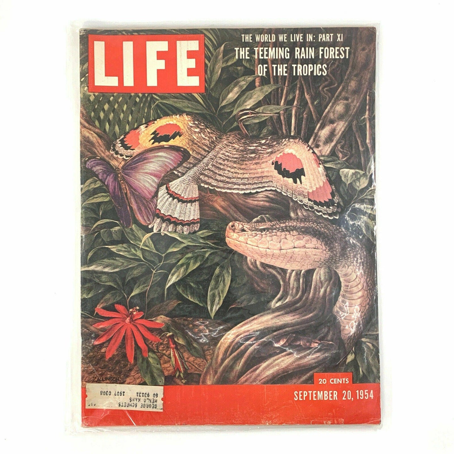 Vintage Life Magazine Full Size “Rainforest Of The Tropics” - September 20, 1954