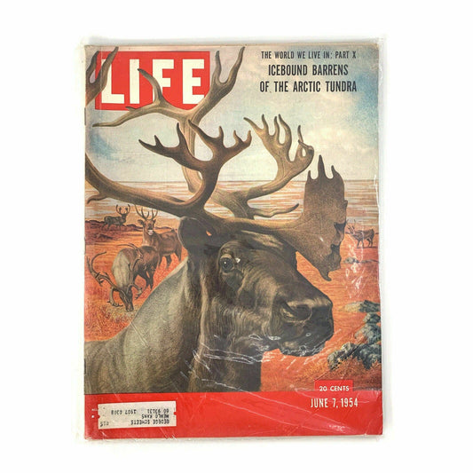 Vintage Life Magazine Full Size “Icebound Barrens Arctic Tundra” - June 7, 1954