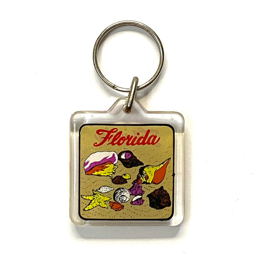 Vintage Florida Travel Souvenir Keychain Key Ring Square Clear Acrylic