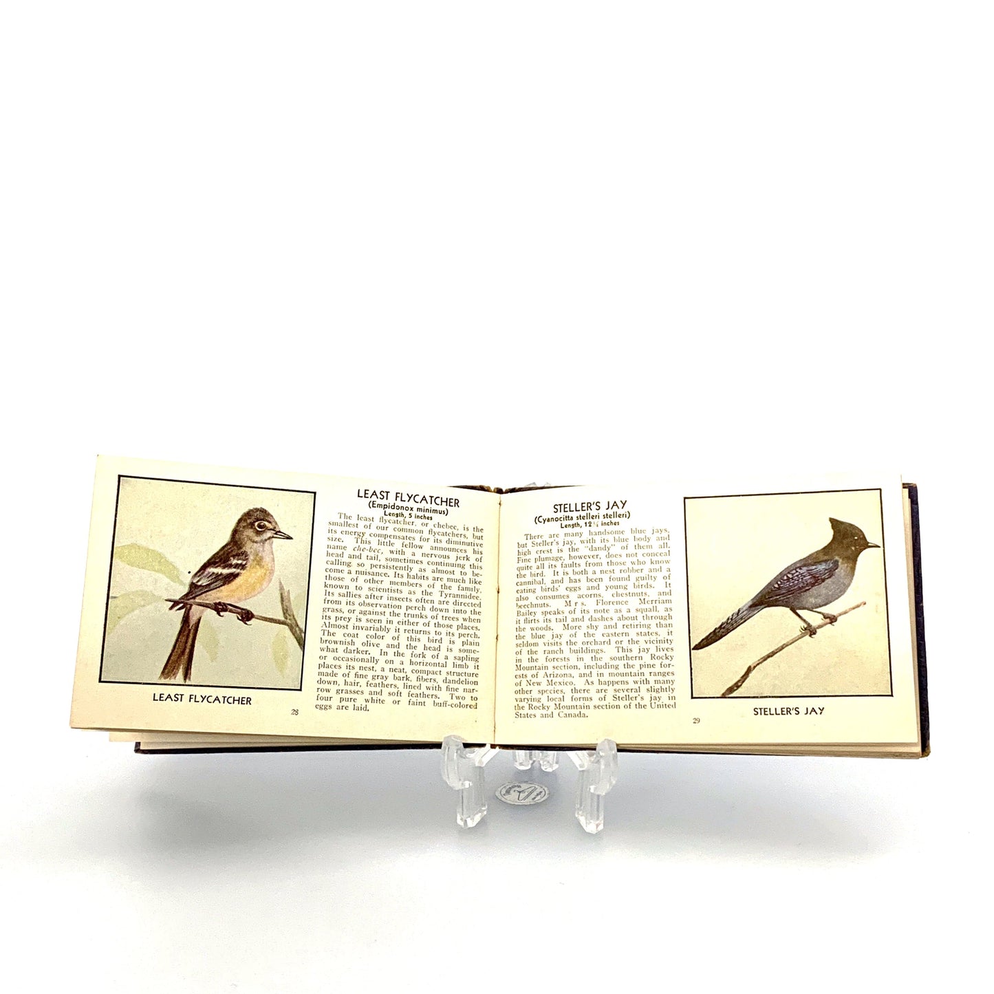 The Blue Book of Birds of America 1931 Frank Ashbrook