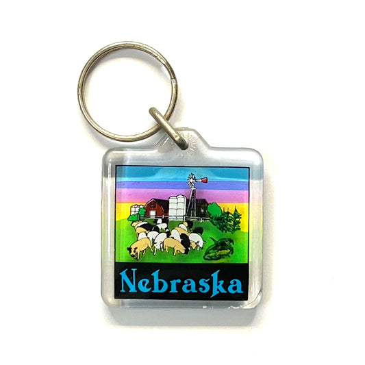 Vintage Nebraska Travel Souvenir Keychain Key Ring Square Clear Acrylic