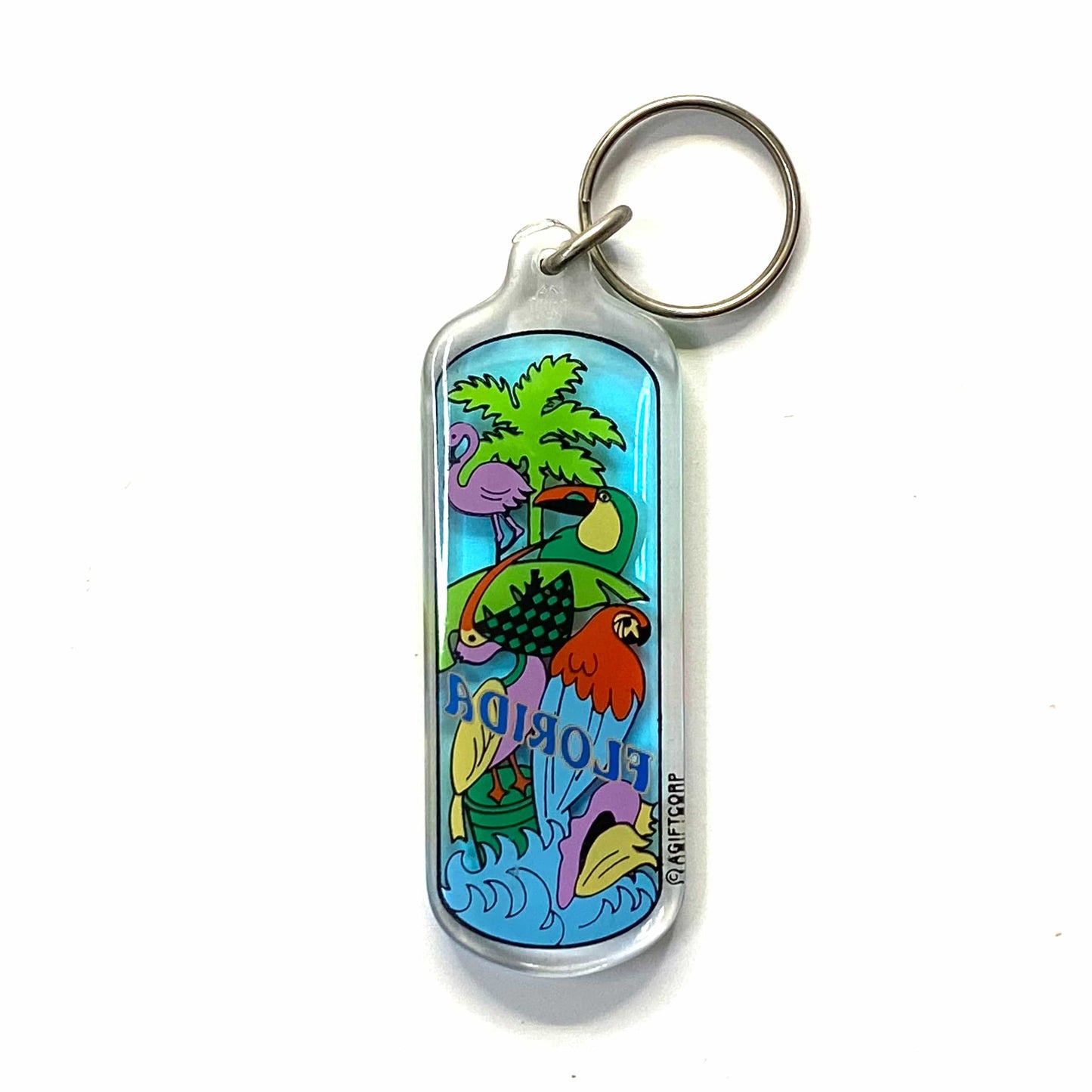 Vintage Florida Travel Souvenir Keychain Key Ring Rectangle Clear Acrylic