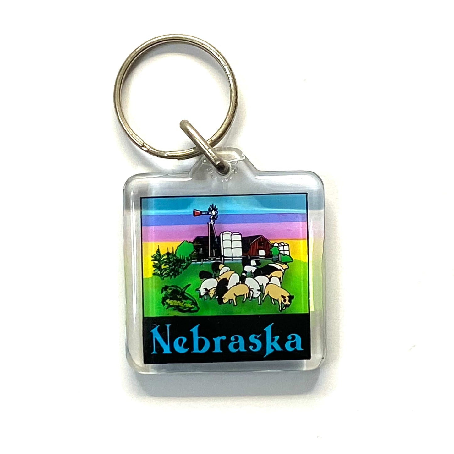 Vintage Nebraska Travel Souvenir Keychain Key Ring Square Clear Acrylic